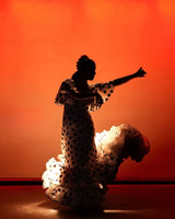 ZONE C - Hintere Reihen