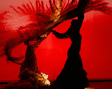 ZONE A - Vordere Reihen nach VIP ZONE + 1 Getränk