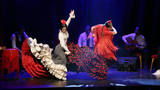 Flamenco Barcelona