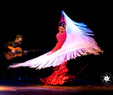 Flamenco Barcelona